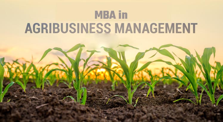 College of Agri Business Management